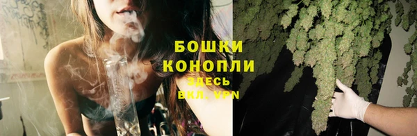 СК Вязьма