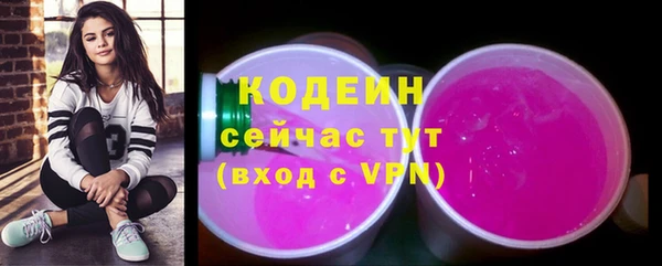 СК Вязьма