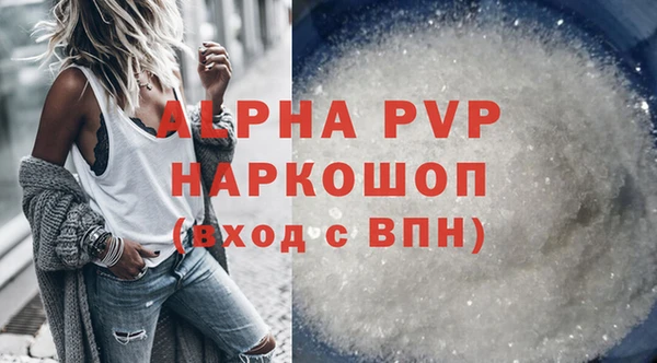 СК Вязьма