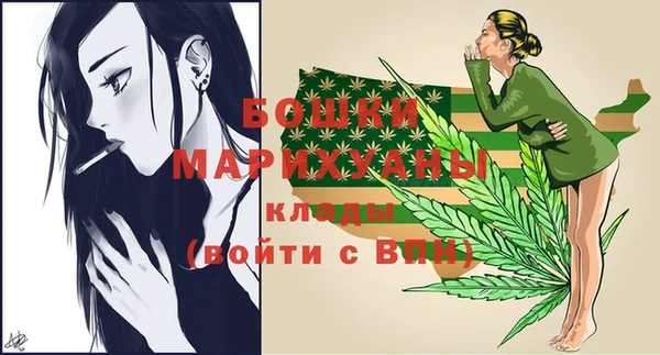 СК Вязьма