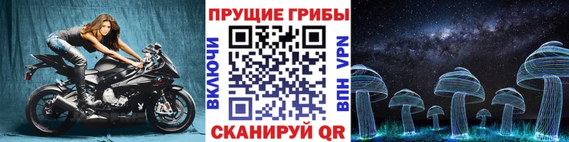 Галлюциногенные грибы ЛСД  наркотики  кракен рабочий сайт  Ессентукская 